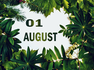 August 1, 1st day of month. .Composition of natural green leaves with paper card. Summer month. Concept of Day of Year