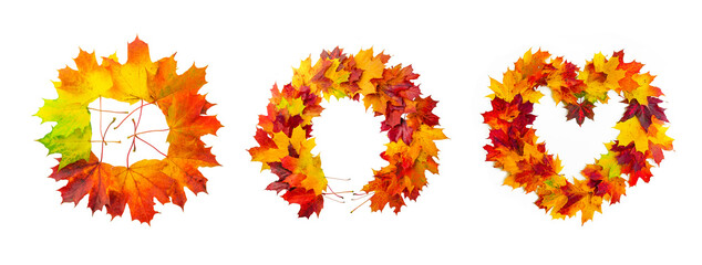 Set of three wreaths isolated on white background made of natural maple leaves of autumn season in yellow, orange, burgundy, green.