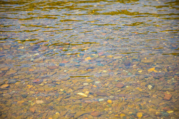 River Taidon flowing through the taiga forests in South Siberia, Russia