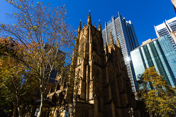 Fototapeta na wymiar オーストラリア　シドニーのセント・アンドリューズ大聖堂