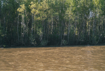 Ulba river. Beautiful landscape. River.