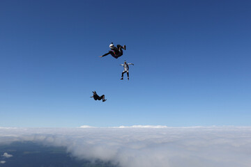 Naklejka na ściany i meble Skydiving. Three skydivers are having fun in the sky.