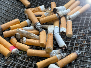 Burned cigarettes on ashtray