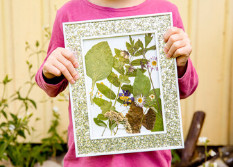 Child showing handmade dried pressed real flowers plants in picture frame. Arts and crafts concept....