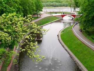 beautiful green spring park with blooming tulips
