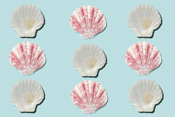 Pattern of colorful seashells againts pastel blue background. Flat lay.