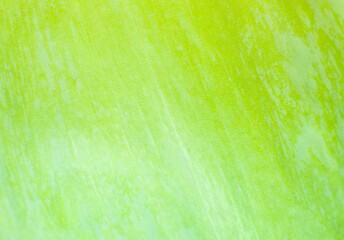 Obraz na płótnie Canvas Green leaf close up. Fresh leaves texture background. Natural eco wallpaper. Vegetarian food. Vegetable and vitamins products. Macro photo.