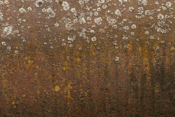 Grunge rusted metal texture, rust and oxidized steel background. Old metal iron panel.