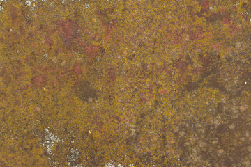 Grunge rusted metal texture, rust and oxidized steel background. Old metal iron panel.