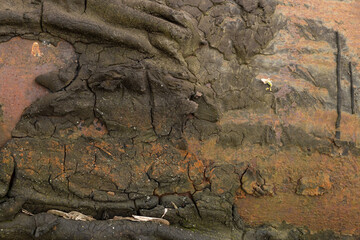 Grunge rusted metal texture, rust and oxidized steel background. Old metal iron panel.
