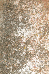 Grunge rusted metal texture, rust and oxidized steel background. Old metal iron panel.