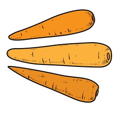Carrots color variation for coloring page isolated on white background