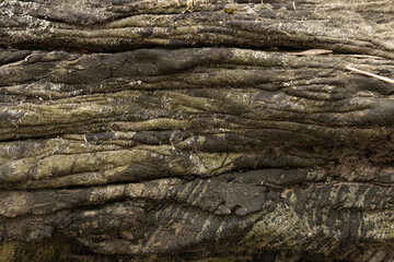 Resin folds on metal and rusted steel background