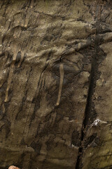 Resin folds on metal and rusted steel background