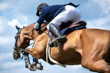 Tuinposter Equestrian Sports photo themed: Horse jumping, Show Jumping, Horse riding. © Pratiwi