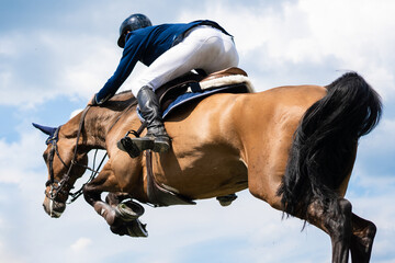 Equestrian Sports photo-themed: Horse jumping over the obstacle. - obrazy, fototapety, plakaty