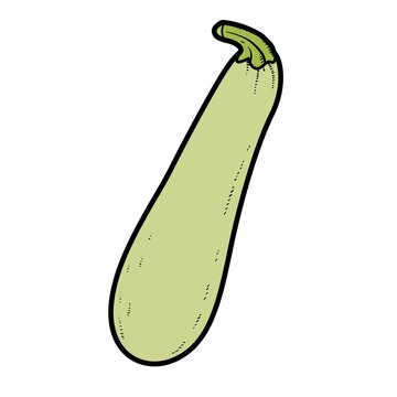 Long courgette zucchini color variation for coloring page isolated on white background