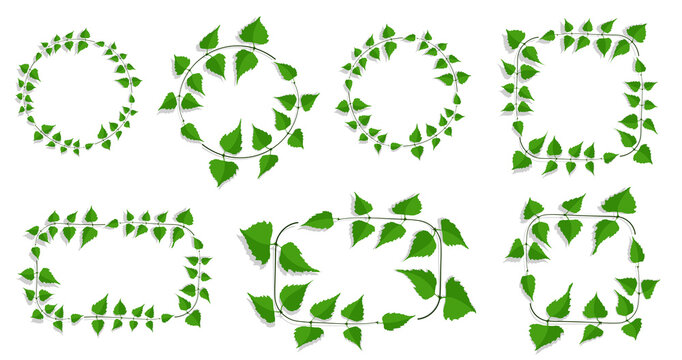 Decorative frames made of thin birch twigs and green leaves. Round, square and rectangular frames. Vector