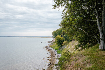 Fototapeta na wymiar Forest coastline overlooking the ocean during summer
