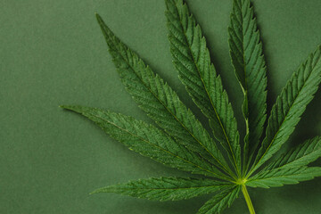 Leaf of cannabis on green background.