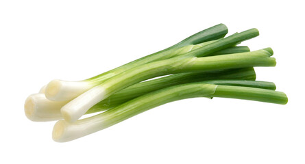 Green onion, fresh chives isolated on white background