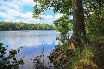 View to the little Tonteich, federal state Brandenburg - Germany