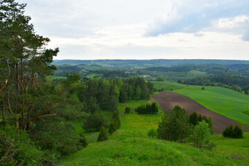 A view from the top of a tall hill covered with grass, shrubs, and herbs showing tall trees, forest, moors, as well as fields, pasturelands, and meadows seen on a cloudy summer day in Poland