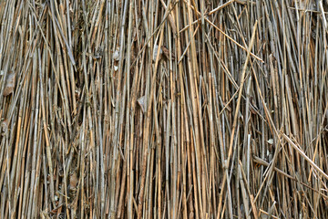 Wooden fence close up background, rustic wall texture and pattern.