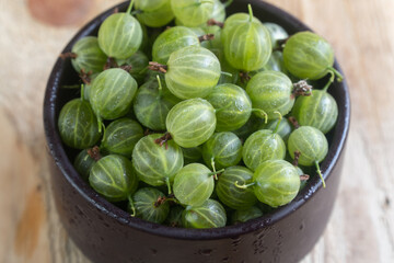 Fresh gooseberries in clay pot. Traditional clay pot cooking. Gooseberry pickle making.green gooseberry and apple on a wooden surface