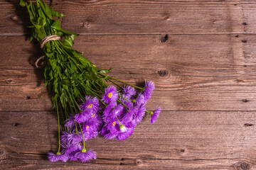 Purple decorative daisies on wooden background