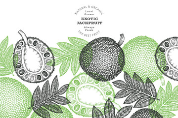 Hand drawn sketch style jackfruit banner. Organic fresh fruit vector illustration. Retro breadfruit design template