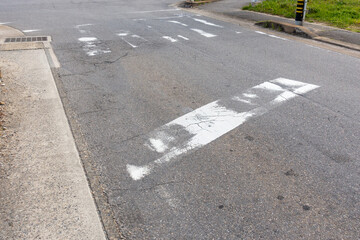 日本で撮影した横断歩道の写真。無人。