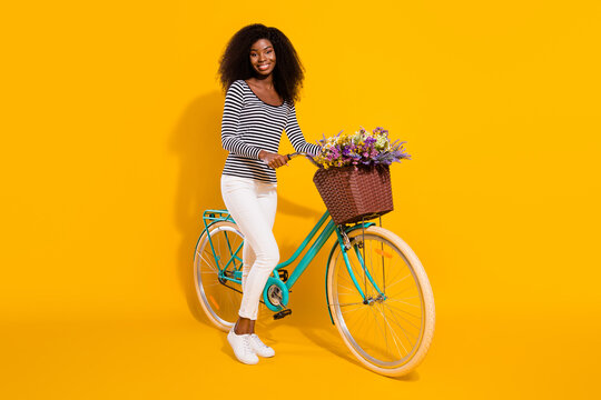 Full length body size photo of woman keeping bicycle with flower pot smiling isolated on bright yellow color background