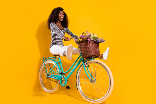 Full length body size photo woman riding a bicycle with pot of wild flowers looking blank space crazy isolated vivid yellow color background