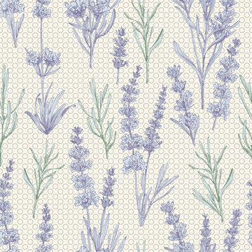 Seamless pattern with hand-drawn sketch of cute Lavender flower bouquets. France Provence retro style for romantic design concept, rustic digital paper. Natural lavander Vintage vector
