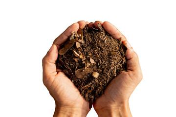 Loam soil in man's hand on a completely white background, agricultural use.