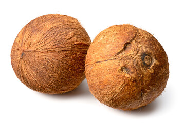 whole hairy coconut fruit isolated on white background