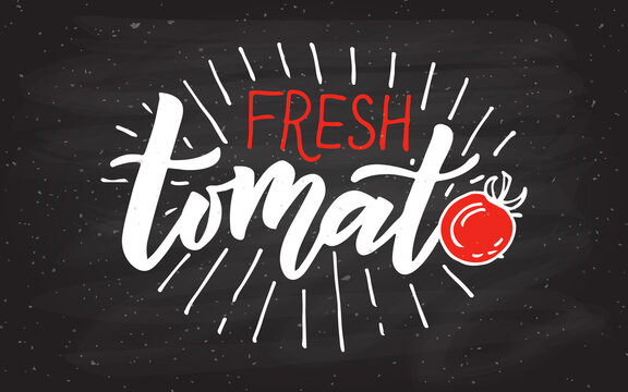 Hand sketched Tomato product lettering typography