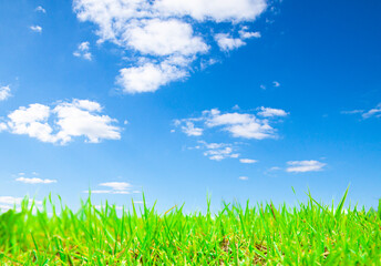 Obraz premium Blue sky and green grass wallpaper.