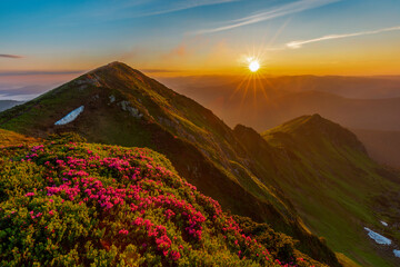 Fototapeta na wymiar Magical summer dawn in the Carpathian mountains with blooming red rhododendron flowers. Picturesque summer sunset in the mountains with rhododendron flowers.Vibrant photo wallpaper.