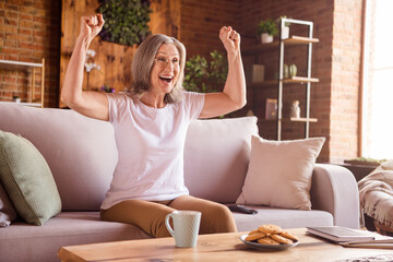 Photo of shiny lucky lady pensioner wear white t-shirt sitting sofa smiling watching match rising fists indoors house flat