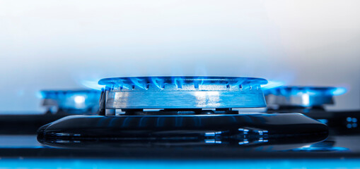 Gas flame on a gas stove with white background