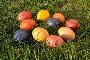 Easter eggs, dyed chicken eggs in the grass