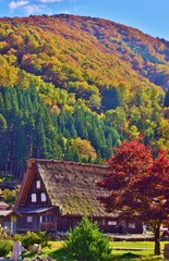 世界遺産　白川郷合掌造り集落　秋景