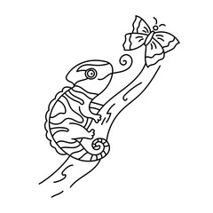 Hand drawn chameleon with butterfly. Line art. Hand drawn doodle jungle animals. Outline vector illustration. Coloring page.