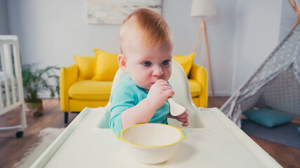 infant boy sitting in feeding chair and sucking spoon