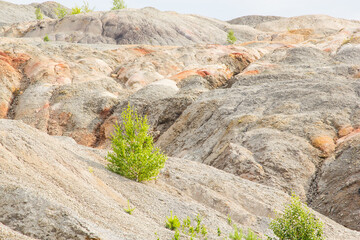 The landscape is red like on Mars