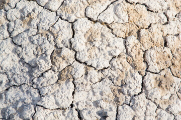 The landscape is red like on Mars