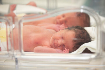 Newborn children are in the boxes in the hospital. - obrazy, fototapety, plakaty