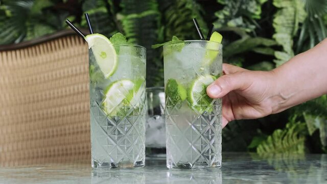 gin tonic mojito glass coktail water ice lime tropical leaves table drink cafe hand